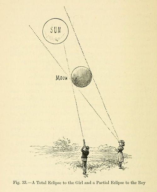 ECLIPSE ENTRE VIÑAS