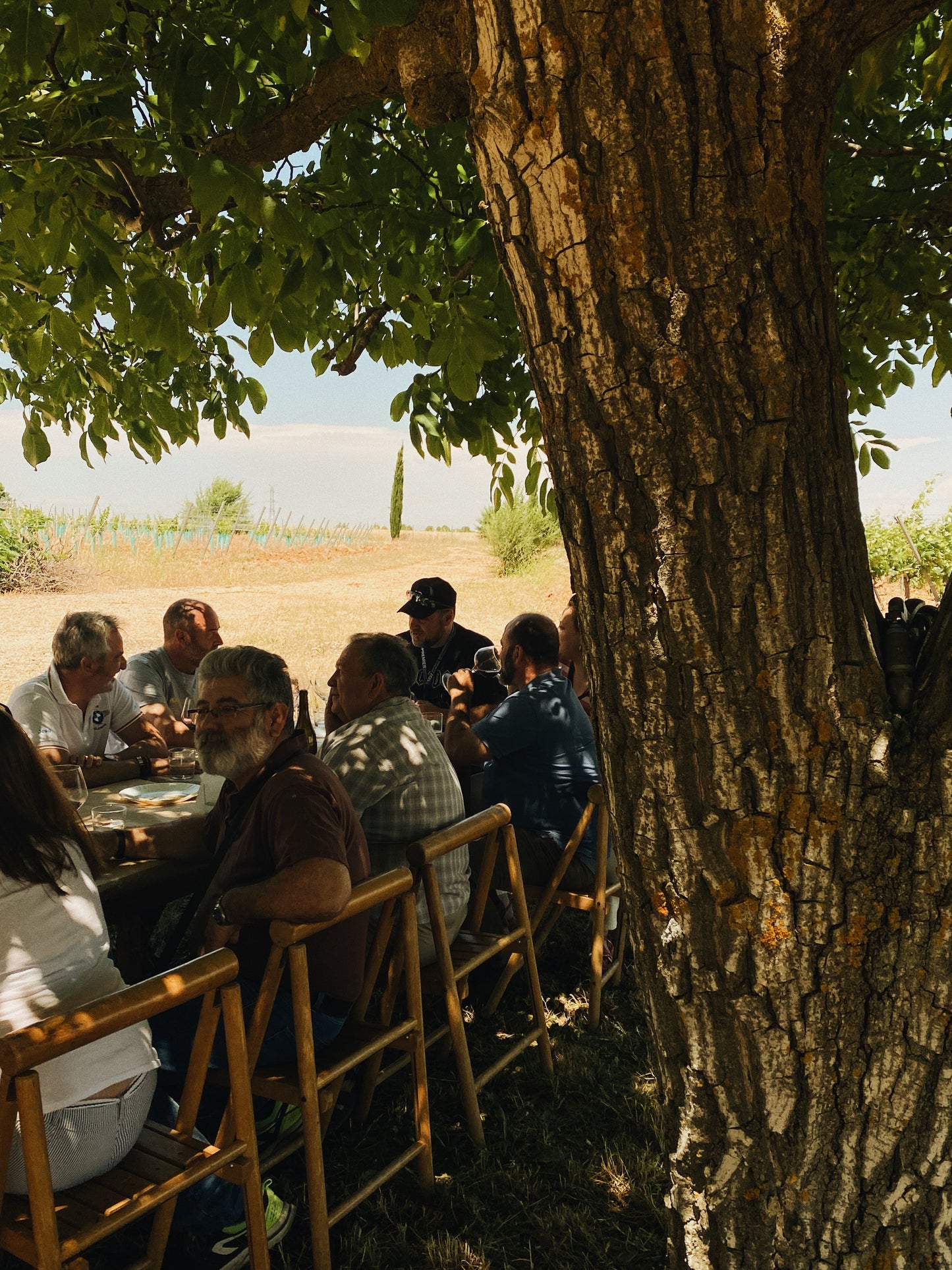 Viaje exclusivo al mundo Alto de Pioz